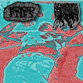 Minced Piles / Genophobic Perversion - Split EP (2020)