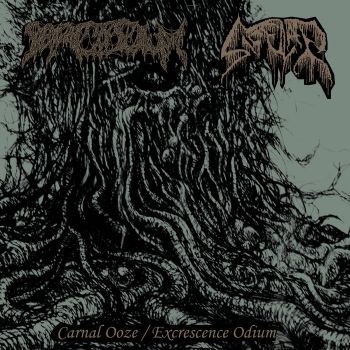 Sarcosium / Saccular - Carnal Ooze / Excrescence Odium (2020)