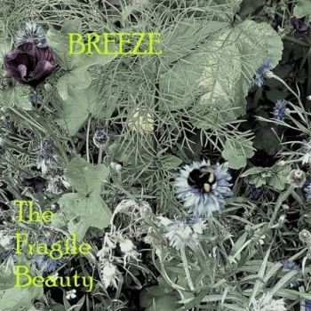 Breeze - The Fragile Beauty (2020)