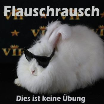 Flauschrausch - Dies Ist Keine Ubung (2020)