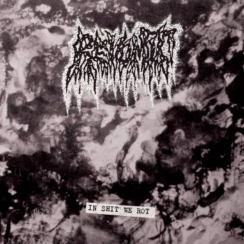 Revomit - In Shit We Rot (2020)