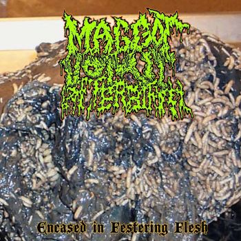 Maggot Vomit Afterbirth - Encased in Festering Flesh (2020)