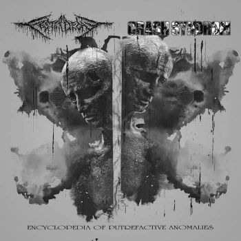 FesterDecay / Crash Syndrom - Encyclopedia of Putrefactive Anomalies (2020)
