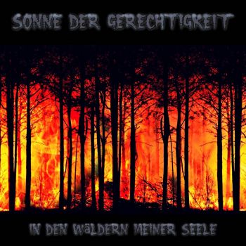 Sonne der Gerechtigkeit - In den Waldern meiner Seele (2020)