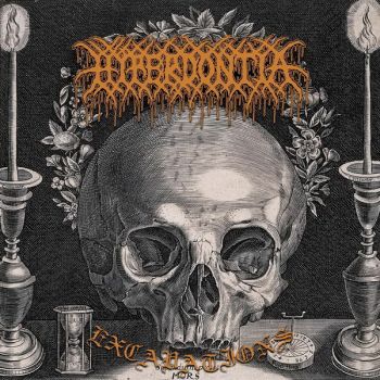 Hyperdontia - Excavations (2020)