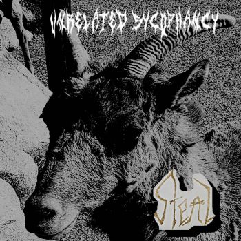 Steal - Unrelated Sycophancy (2020)