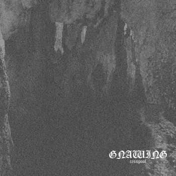 Gnawing - Cesspool (2020)