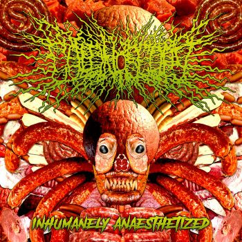 Colonoscopy - Inhumanely Anaesthetized (2020)