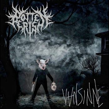 RottenPerish - Vansinne (2020)
