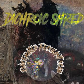 DiChroic Shred - Evicerated Feculant Scab (2019)