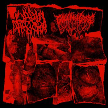 Labia Majora / Golem of Gore - Split (2021)