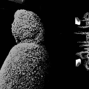 Oral Techniques - Oral Techniques (2021)