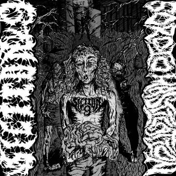 Section 9 - Sordid Mastication (2021)