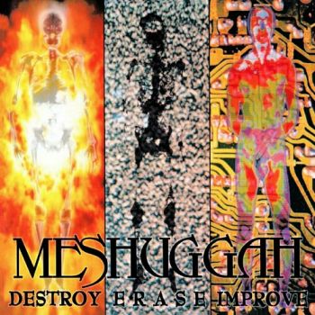 Meshuggah - Destroy Erase Improve (1995)