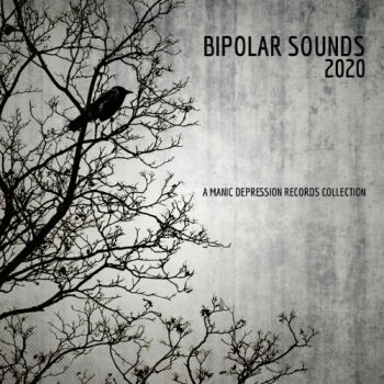 Various Artists - Bipolar Sounds 2020 (2021)