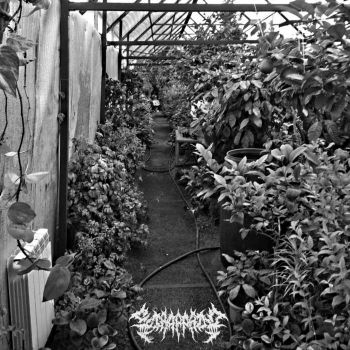 Strappado - Greenhouse (2021)