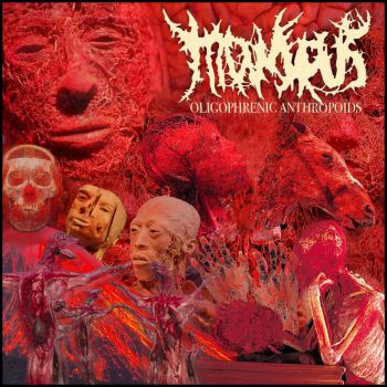 Moiscus - Oligophrenic Anthropoids (2021)