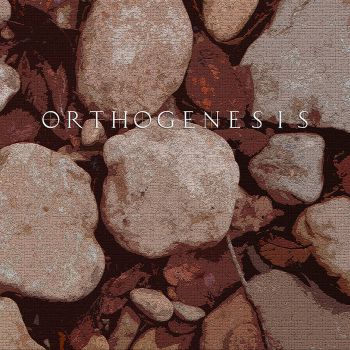 Orthogenesis - Orthogenesis (2020)