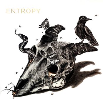 Seeking Tragedy - Entropy (2021)