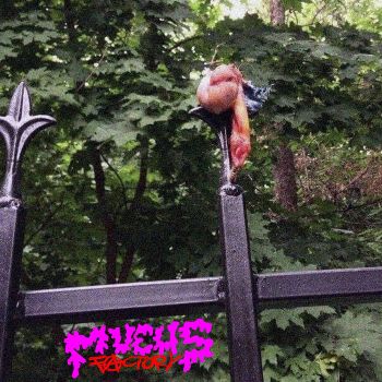 Mucus Factory - More Gore (2021)