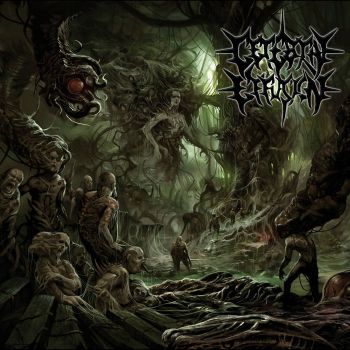 Cerebral Effusion - Ominous Flesh Discipline (2021)
