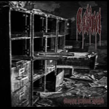 Cabinet - Decomposing Hexahedronic Seplophobia (2021)
