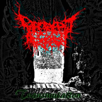 Decrepit Artery - Transmutation (2021)