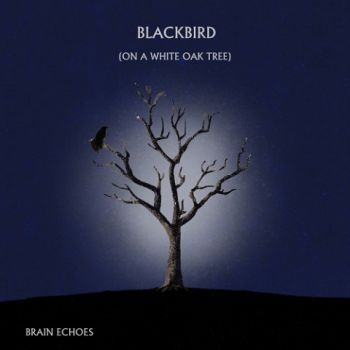 Brain Echoes - Blackbird (On A White Oak Tree) (2021) 