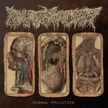 Pharmacist - Carnal Pollution (2021)