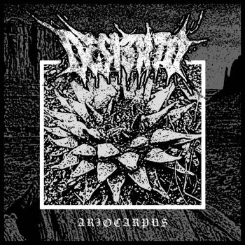 Desierto - Ariocarpus (2021)