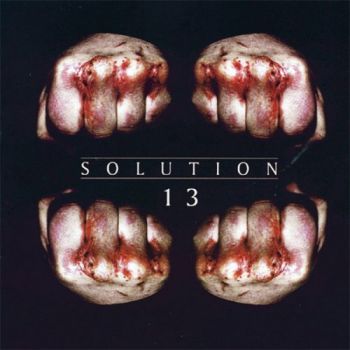 Solution 13 - Solution 13  (2002)