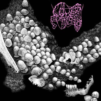 Congealed Putrescence - Dissolved in Hyphae (2021)
