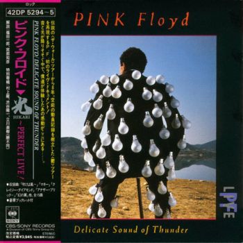 Pink Floyd - Delicate Sound Of Thunder (1988)