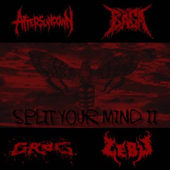 Aftersundown / Baga / Grog / Zebu - Split Your Mind II (2020)