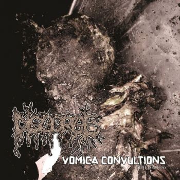 Disgorge - Vomica Convultions (The Splits) (2021)