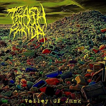 Trash Panda - Valley of Junk (2021)