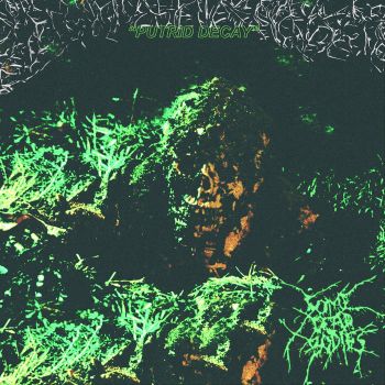 Some Dead Bodies - Purtid Decay (2020)