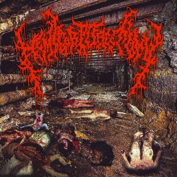 Hemicorporectomy - Mutilated Female Victims in a Sewer Basement After Being Raped and Rotting Embryos Washed Out of Drainpipes After Abortion (2021)