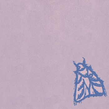 Sallow Moth - Failure to Find (2022)