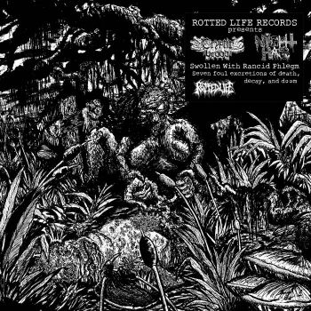 Cryptic Brood / Night Hag - Swollen with Rancid Phlegm (2021)