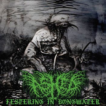 Ashed - Festering in Bongwater (2022)