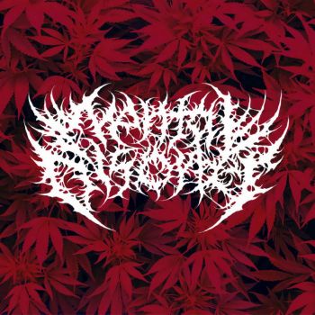 Mental Disorder - Mental Disorder (2021)