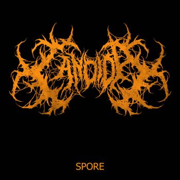 Candida - Spore (2022)