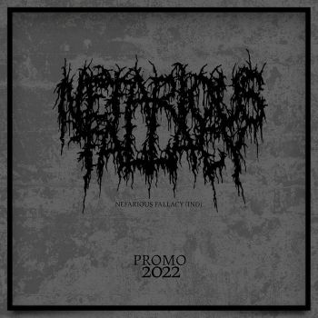 Nefarious Fallacy - Promo 2022 (2022)