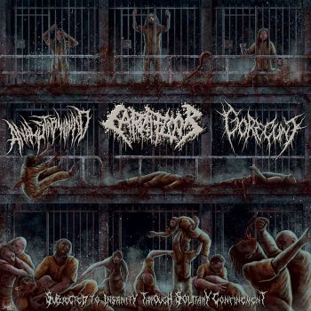 Anal Stabwound / Carnifloor / Gorecunt - Subjected to Insanity Through Solitary Confinement (2022)