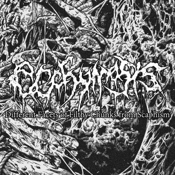 Ecchymosis - Different Facets of Filthy Chunks from Scaphism (2018)