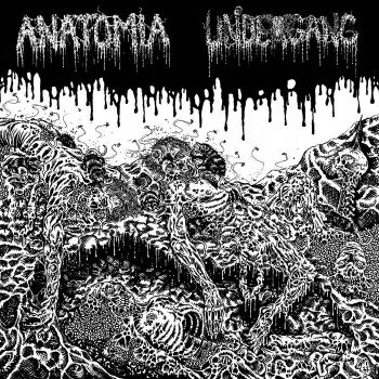 Anatomia / Undergang - Split (2022)
