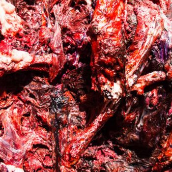 Gurgel - Rotten Pieces of Inner Dismay (2022)
