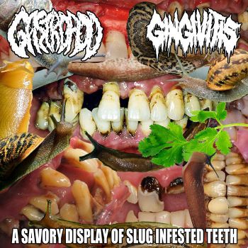 Gastropod / Gingivitis - A Savory Display of Slug Infested Teeth (2022)