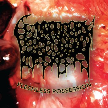 Genophobic Perversion - Fleshless Possession (2022)